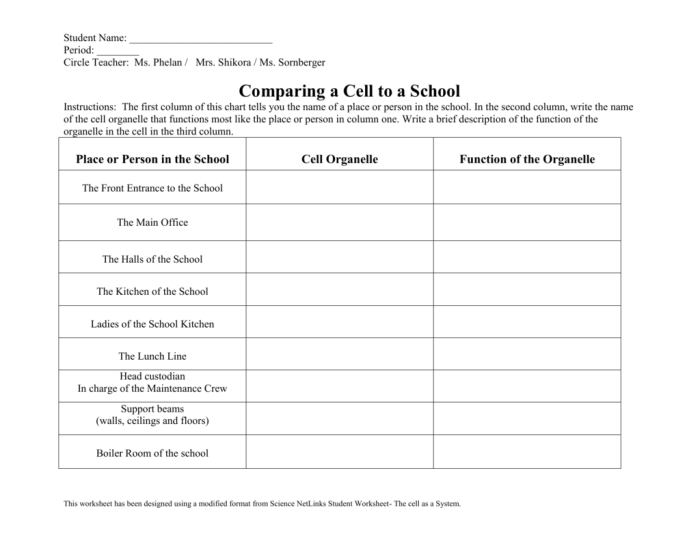 Cell size worksheet answers pogil