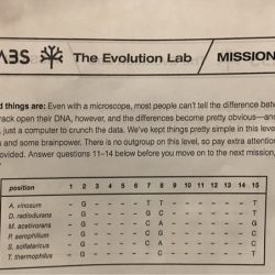 Nova evolution tree labs species connecting outlook varied evolutionary provide choice interesting end user good