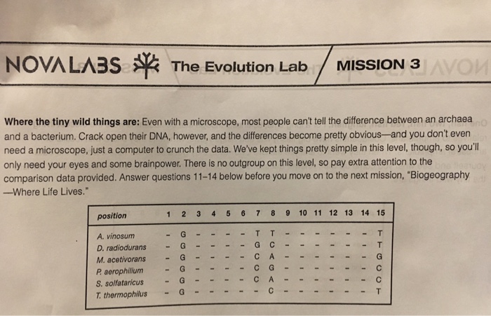 Nova evolution tree labs species connecting outlook varied evolutionary provide choice interesting end user good