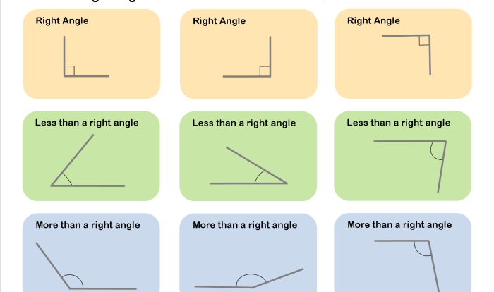 Supplementary angle pairs which apply check