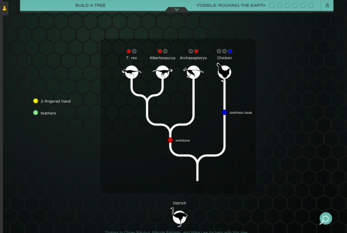 Nova labs evolution lab pbs