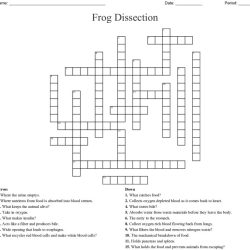 Frog dissection crossword answer key