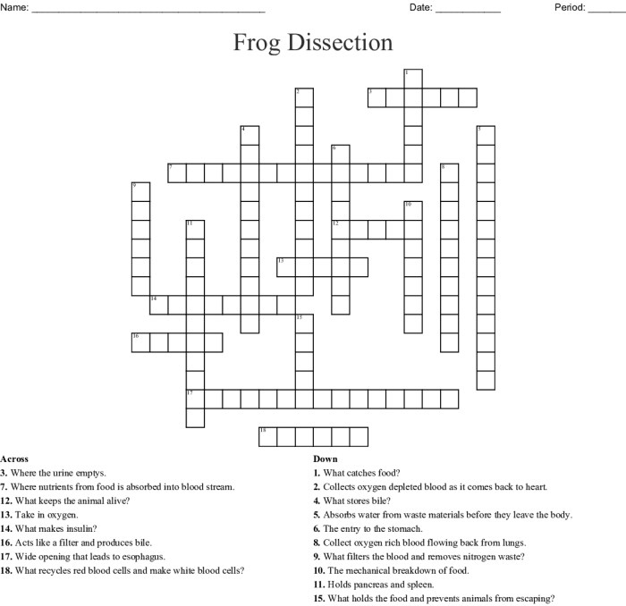 Frog dissection crossword answer key