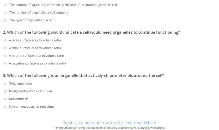 Cell size worksheet answers pogil