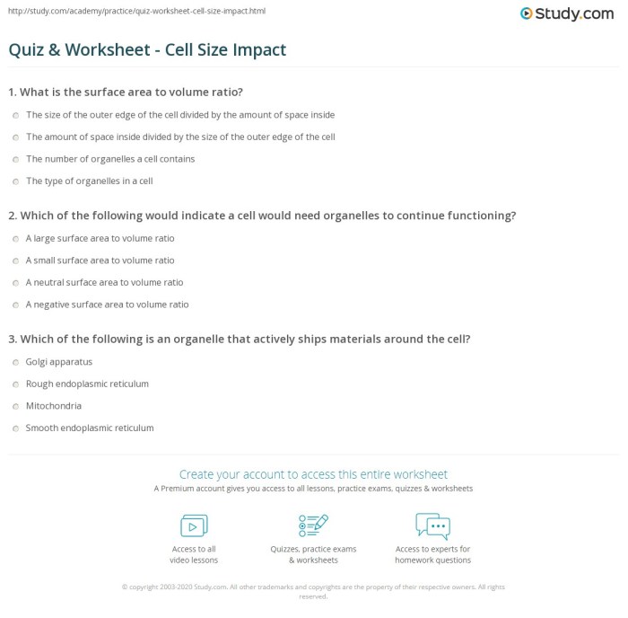 Cell size worksheet answers pogil