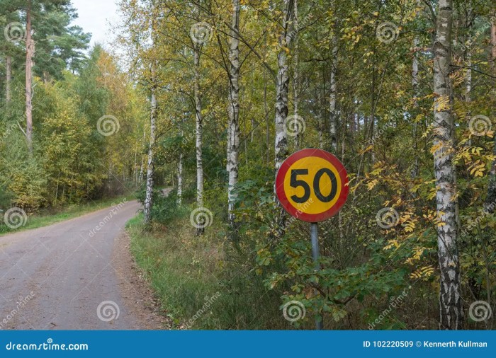 Gravel road speed limit iowa