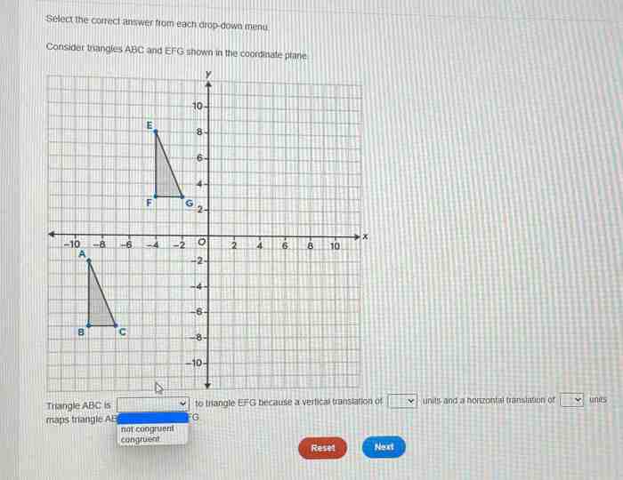 Triangle plane translated coordinate abc shown has solved thanks please them do draw transformation result